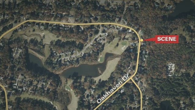 Man, 82, arrested for wife's murder initially reported she killed herself, police say