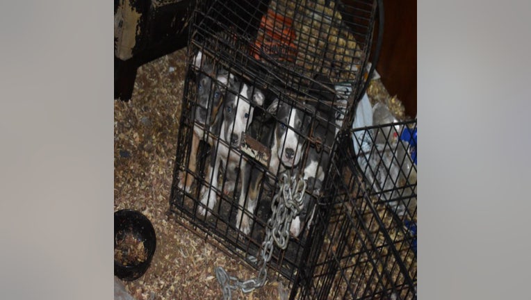 Griffin Animal Control said a Christopher Cromarte faces 16 counts of animal cruelty after officers found dogs stuffed in crates covered in urine and feces.