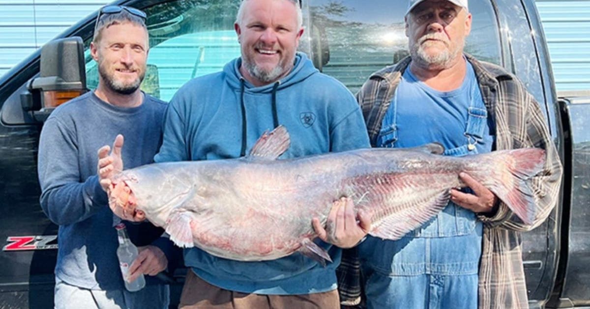 Lucky fisherman reels in biggest catfish in lake history, reports say ...