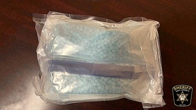 K-9 deputy finds massive fentanyl tablet shipment in Hall County