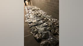 Nearly 200 pounds of marijuana found at Clayton County storage facility, police say