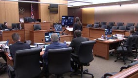 Georgia calls witnesses in defense of abortion law at trial