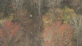 Plane flying ‘very fast’ before crash along Big Creek Greenway in Alpharetta, NTSB report says