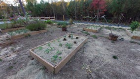 South Fulton park features bees, bikes, and boulders