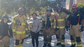 Firefighters save dog trapped in South Fulton house fire