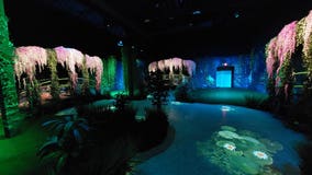 New Arts Center in Doraville unveils Monet experience
