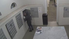Milton mail thief caught on cam