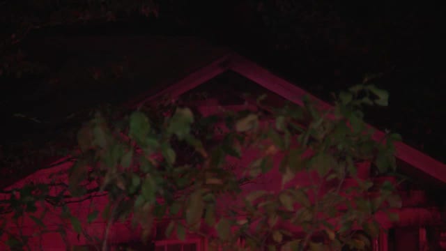 Firefighter injured rescuing dogs from DeKalb County house fire