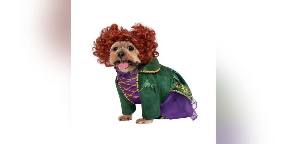 Best pet Halloween costumes of 2022: Is your pup ready for the paw-ty?