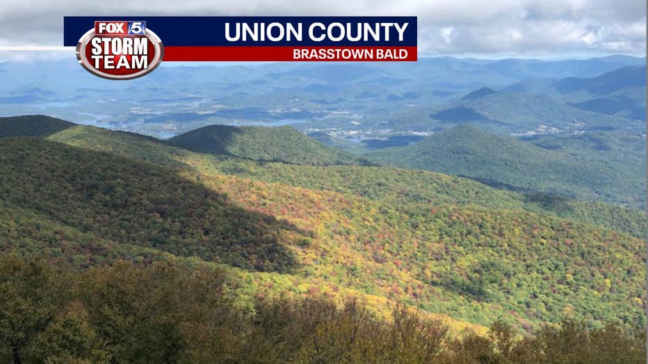 The view off Georgia Highway 180 in Union County on Oct. 4, 2022.