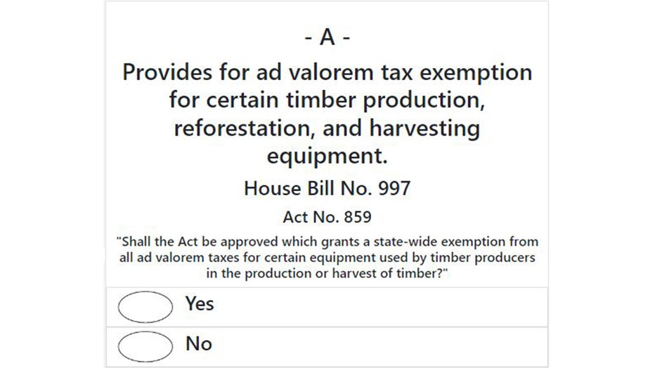 Georgia 2022 Statewide Ballot Questions Explained | FOX 5 Atlanta