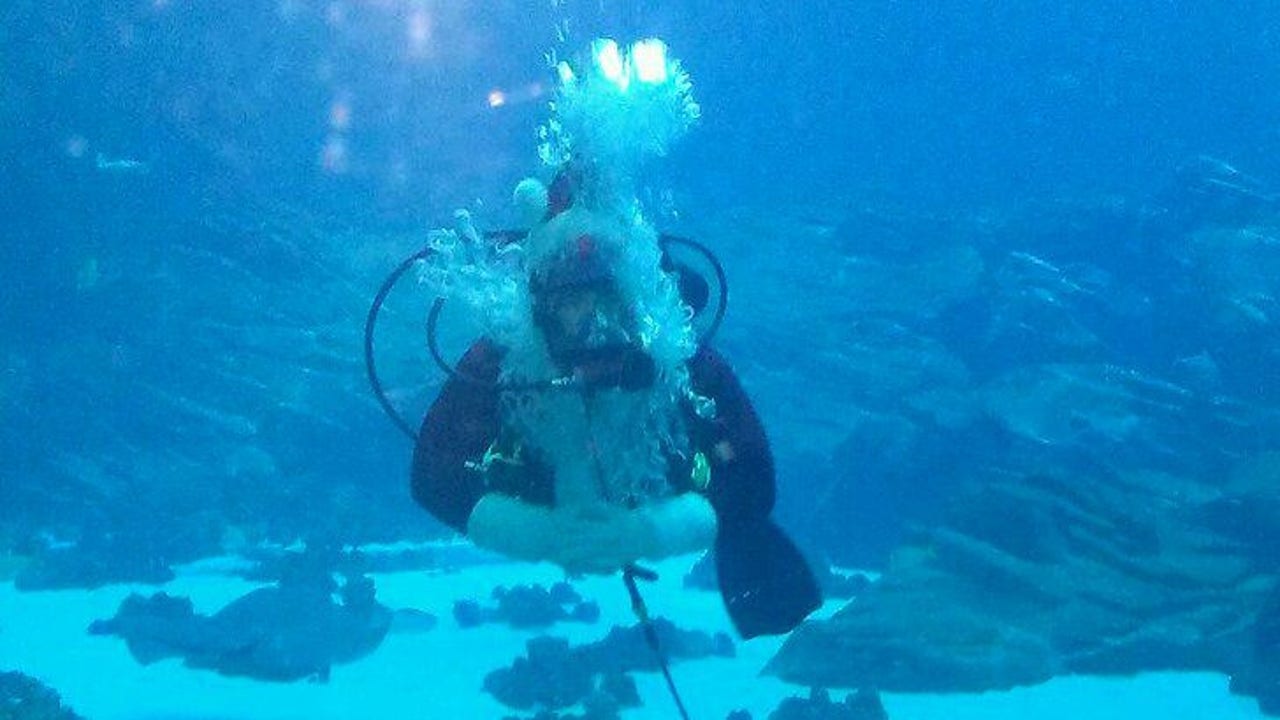 Swimming through a ‘Winter Waterland’ at Georgia Aquarium