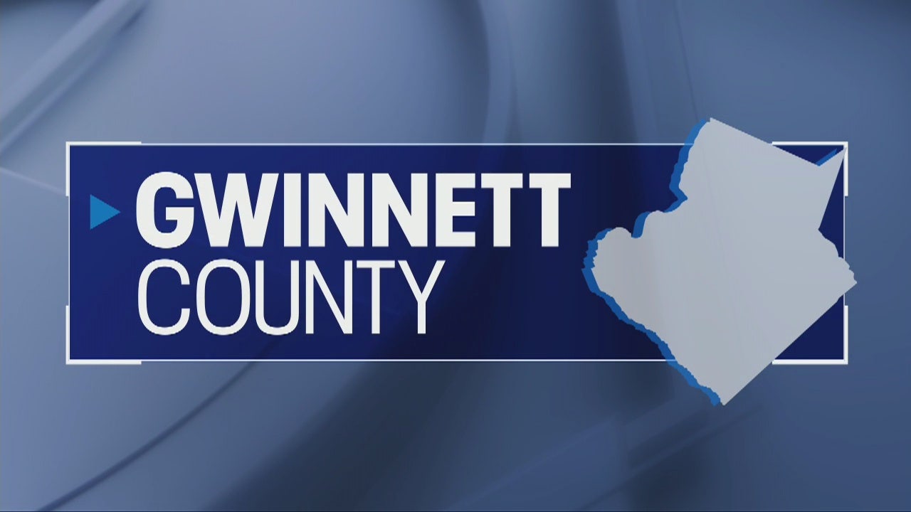 Georgia 2022 Midterm Election Results for Gwinnett County