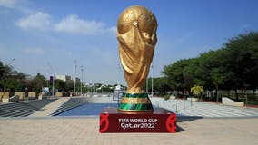 World Cup 2022 odds: Lines for every team to win in Qatar