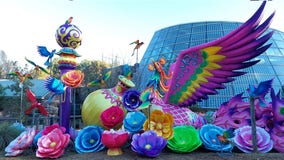 Chinese lantern festival Illuminights returns to Zoo Atlanta