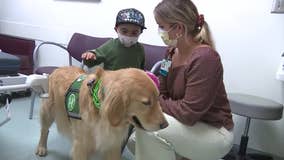 Children's Healthcare of Atlanta's Pen Paws program connects patients with their service dogs
