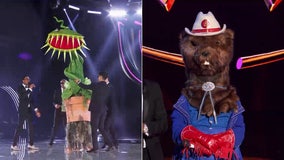 ‘The Masked Singer’: Venus Fly Trap, Gopher say goodbye