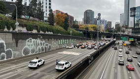 'Our families are dying:' Protesters shut down freeway in downtown Seattle
