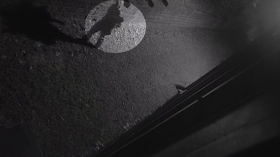 Investigators searching for Flowery Branch car break-in suspect