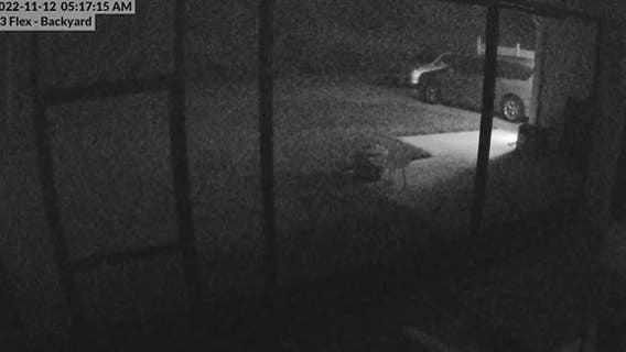 Sonic boom? Mysterious 'booms' heard around Central Florida