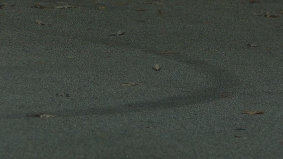 ‘Reckless’ driver doing donuts kills store employee in Tucker parking lot