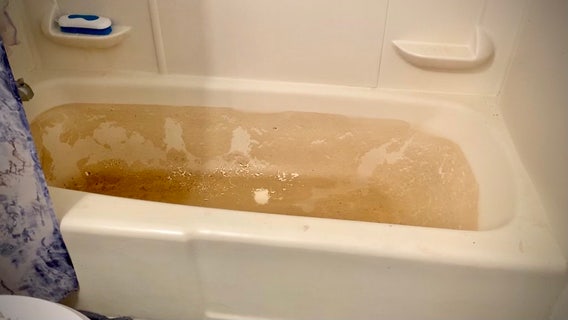 I-Team investigation into deplorable living conditions trigger county sweep