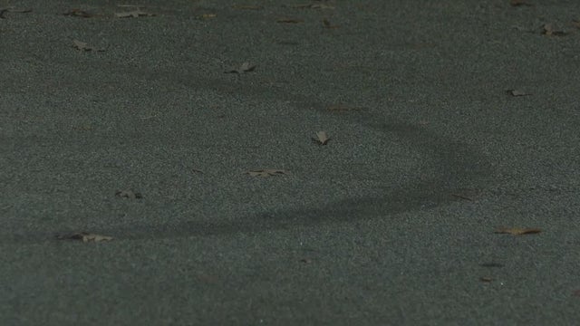 ‘Reckless’ driver doing donuts kills store employee in Tucker parking lot