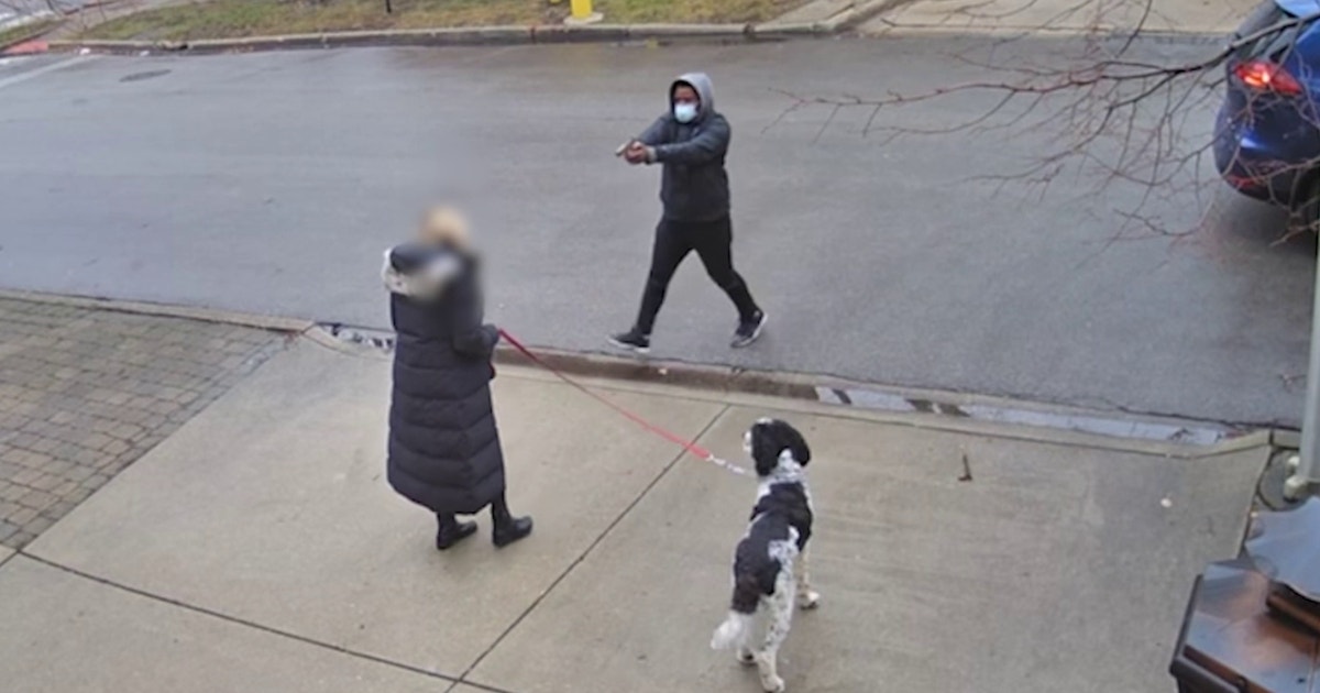 Elderly Chicago woman robbed at gunpoint in Lincoln Park: 'This can't ...