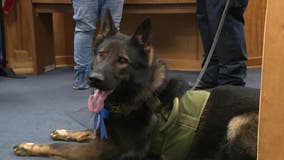 Forest Park police welcome new K-9 Officer Shagy