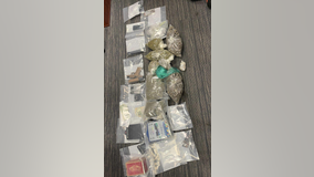 Drug raid results in mushroom, cocaine, marijuana bust in South Fulton