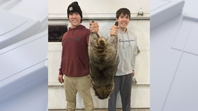 Missouri brothers' capture of 35-pound raccoon will likely go down in records books