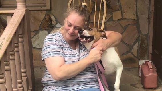 Paws Between Homes helps temporarily displaced pets