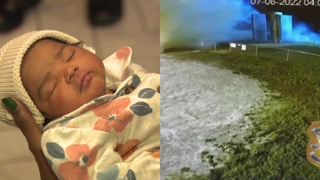 Monkeys on the loose, McDonald's baby shower, controversial landmark destroyed: Unusual stories in 2022