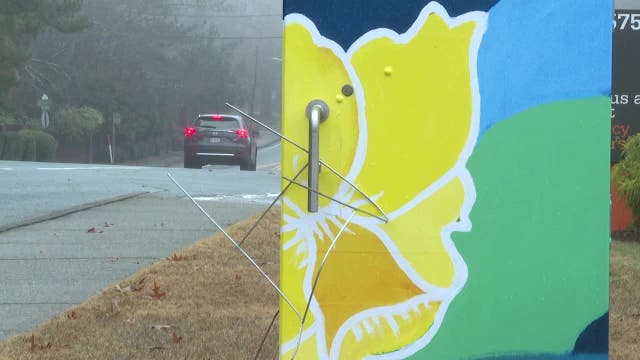 High schoolers bring colorful art to Dunwoody intersections