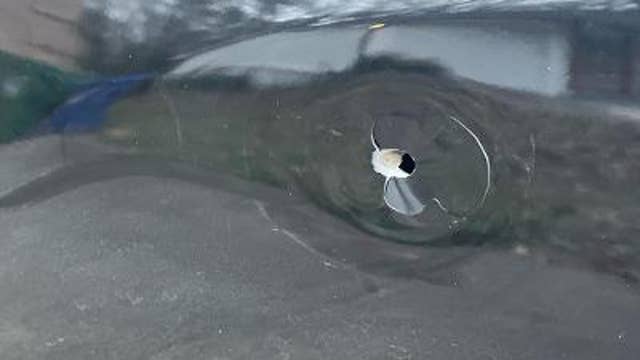 Woman says gun violence has to stop after her car is hit by a bullet
