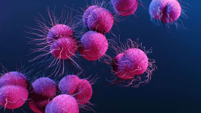 Health officials see 'disturbing' spike in sexually-transmitted diseases in Georgia