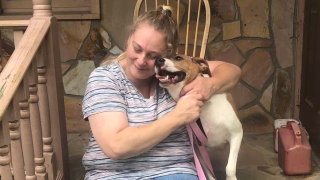 Paws Between Homes helps temporarily displaced pets