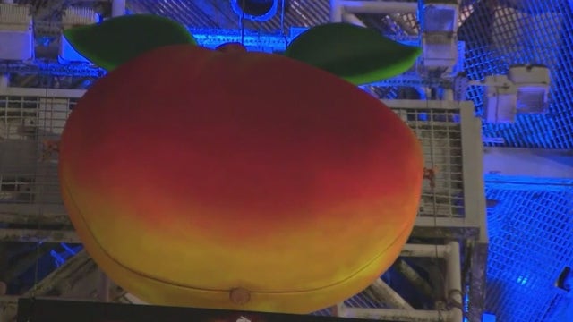 Crowd anxiously awaits the Peach Drop countdown