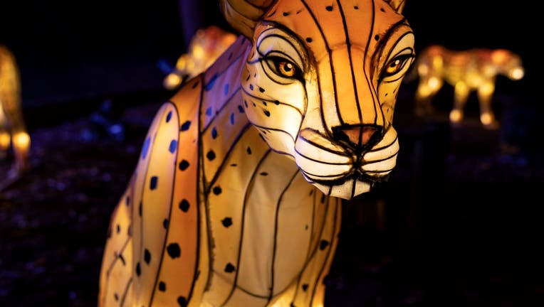 IllumiNights at the Zoo: A Chinese Lantern Festival presented by Georgia Power