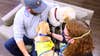 Future service dogs visit Shepherd Center patients, facility dogs