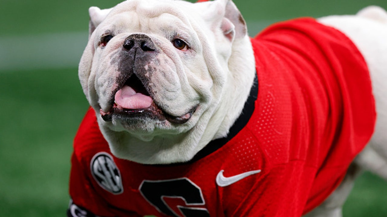 Georgia mascot Uga won't make trip to Los Angeles for national