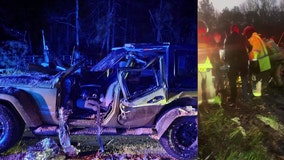 Georgia mothers recall tornado-downed tree falling on Jeep with kids inside nearly killing them