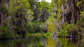 Lawmakers proposing blocking mining outside Georgia's Okefenokee Swamp