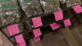 Georgia deputies find drug house looks more like retail store during raid