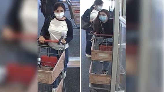 Thieves rack up $8,500 on victim's dime in McDonough, police say