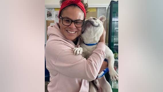 Livermore police reunite French bulldog with SoCal family - a year later