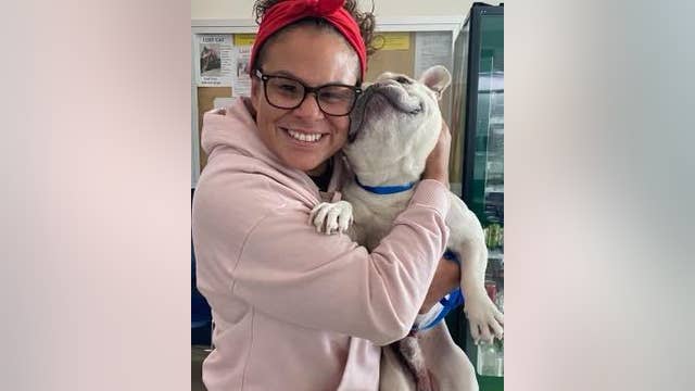 Livermore police reunite French bulldog with SoCal family - a year later