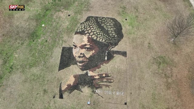 Artist creates massive tribute to Maya Angelou in Freedom Park