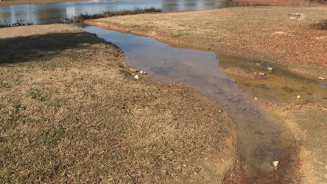 Couple with massive water issues fear their home was built on a ditch or stream