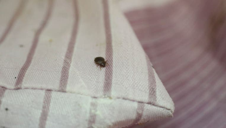 Atlanta one of the 20 worst cities for bed bugs, Orkin says